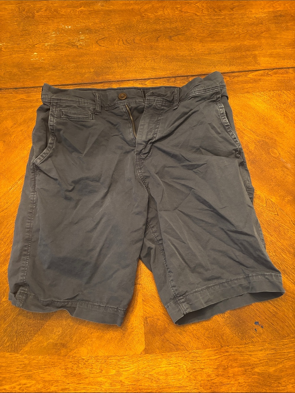 American Eagle Outfitters Navy Blue Flat-Front Men's Shorts